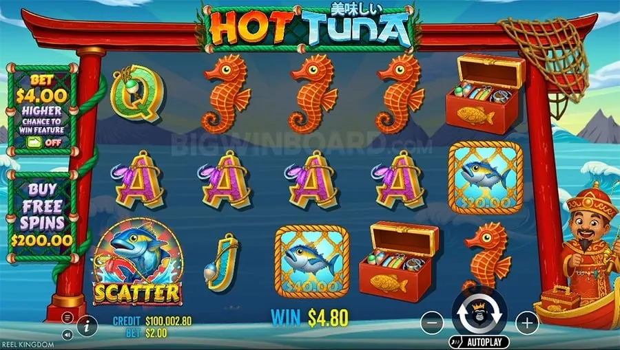 Variety of Live Casino Games